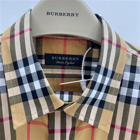 burberry rainbow shirt